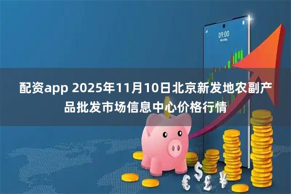 配资app 2025年11月10日北京新发地农副产品批发市场信息中心价格行情